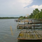 Bild0163 - Rackeve - kleine Donau