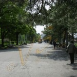 Bild0192 - Belgrad - Burg