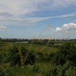 Bild0306 - Silistra - Flusslandschaft