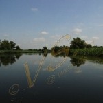 Bild0407 - Donaudelta