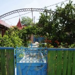 Bild0546 - Donaudelta - Letea