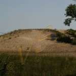 Bild0568 - Letea - Dünenlandschaft